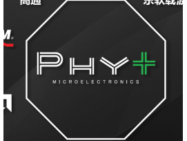 PHY6252
