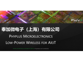 PHY6252